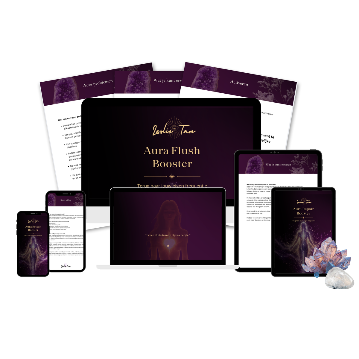 🫧🪷 Aura Flush & Repair Booster - pakket
