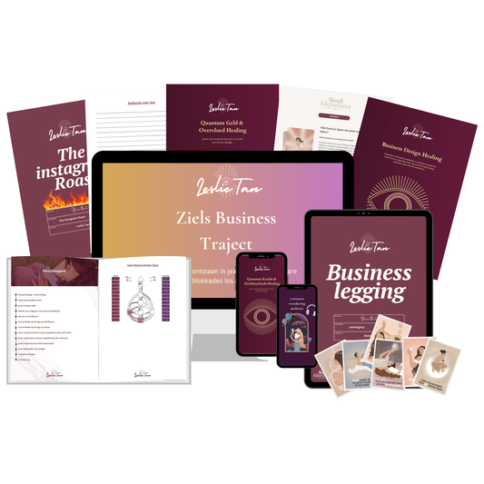 Ziels Business traject - Ondernemer- Kennismaking